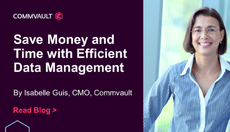 Save Money and Time with Efficient Data Management