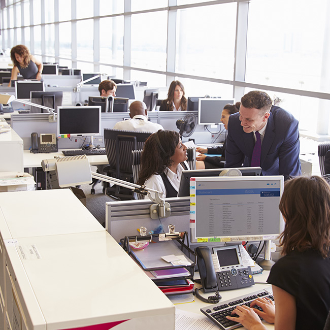 Employees working on computers in a bright, busy office