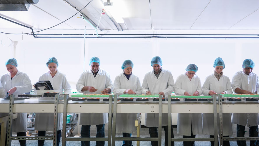 A team of individuals in lab coats diligently collaborating on a conveyor belt, engaged in productive work.