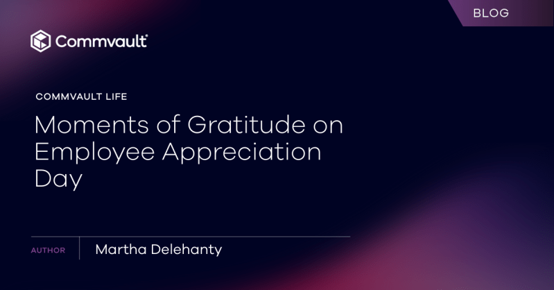 Moments of Gratitude on Employee Appreciation Day