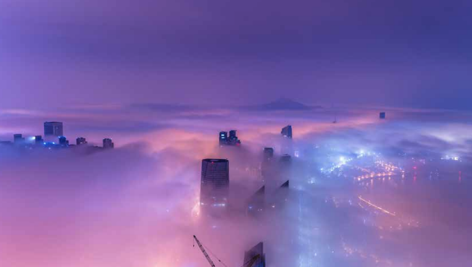 purplescape