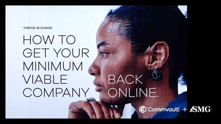 Thrive in Chaos: How to Get Your Minimum Viable Company Back Online
