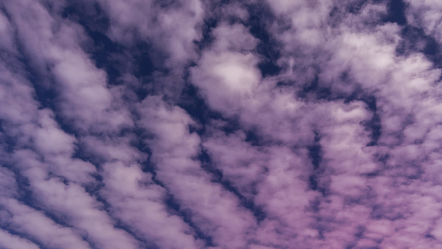 clouds-crocus-888×500